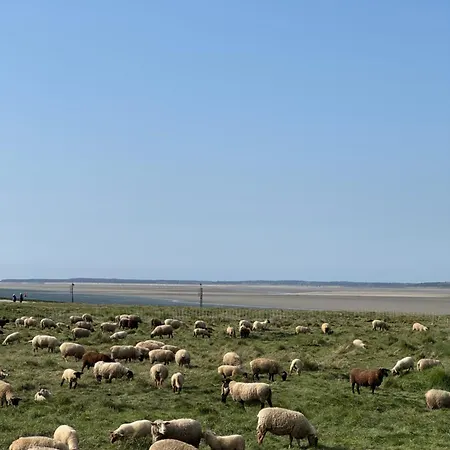Du Flot - Baie De Somme * Boismont