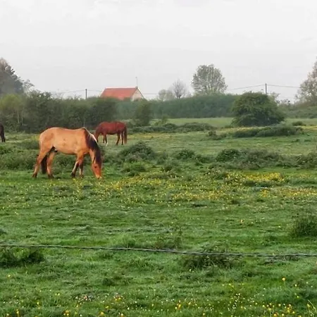 Du Flot - Baie De Somme Apartment *