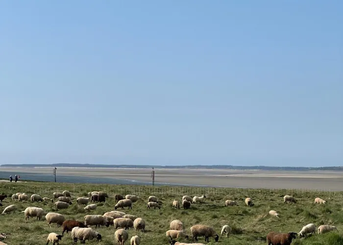 Du Flot - Baie De Somme * Boismont (Somme)